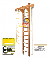 Шведская стенка Kampfer Wooden Ladder Ceiling Basketball Shield (№2 Ореховый Высота 3 м)